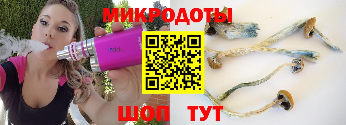 Галлюциногенные грибы мухоморы Ялуторовск